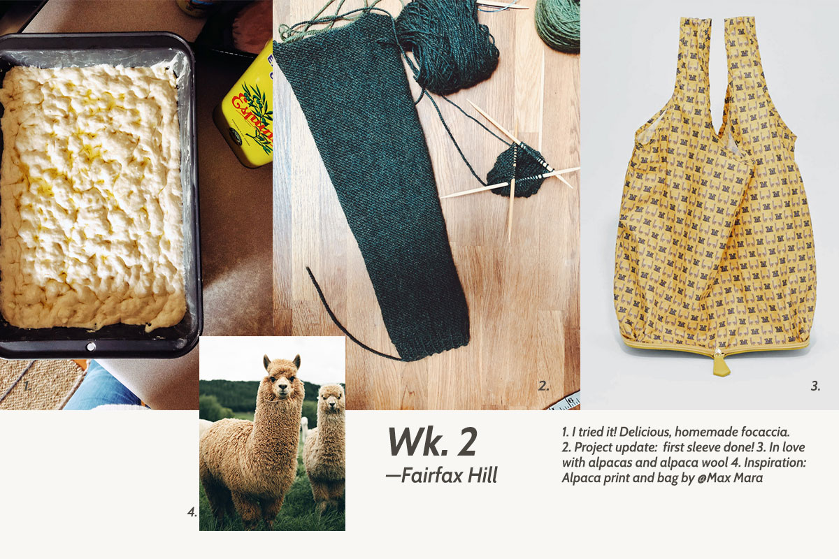 a photo collage showing focaccia bread, a green knitted sleeve and a yellow nylon bag side by side, below these is a photo of an alpaca and the text wk 2